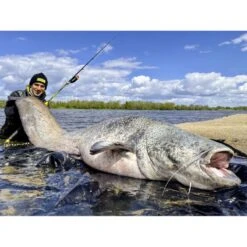 Canne Silure Black Cat Perfect Passion XH-S (462g - 3m00 - Max 350g - 2 - 150cm) 9 Canne Silure Black Cat Perfect Passion XH-S (462g - 3m00 - Max 350g - 2 - 150cm) -Pêche Produit Magasin canne silure black cat perfect passion xh s 462g 3m00 max 350g 2 150cm 3