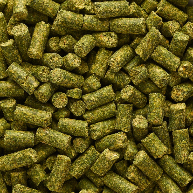 GOOSTER PELLET BABY CORN CHENEVIS EPICE 8MM 0,7KG POUR PECHER LA CARPE AU COUP 4 GOOSTER PELLET BABY CORN CHENEVIS EPICE 8MM 0,7KG POUR PECHER LA CARPE AU COUP – Image 2